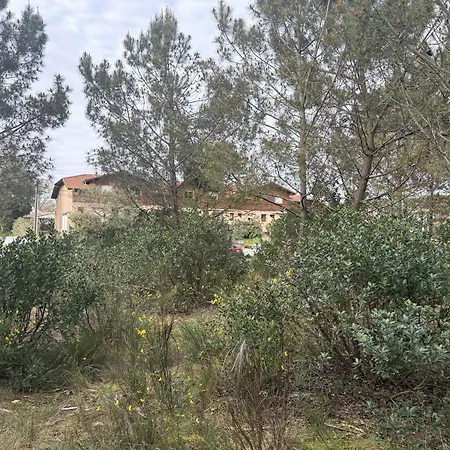Lou Pignada - 4 Vélos Inclus, à 6mn Apartamento *
